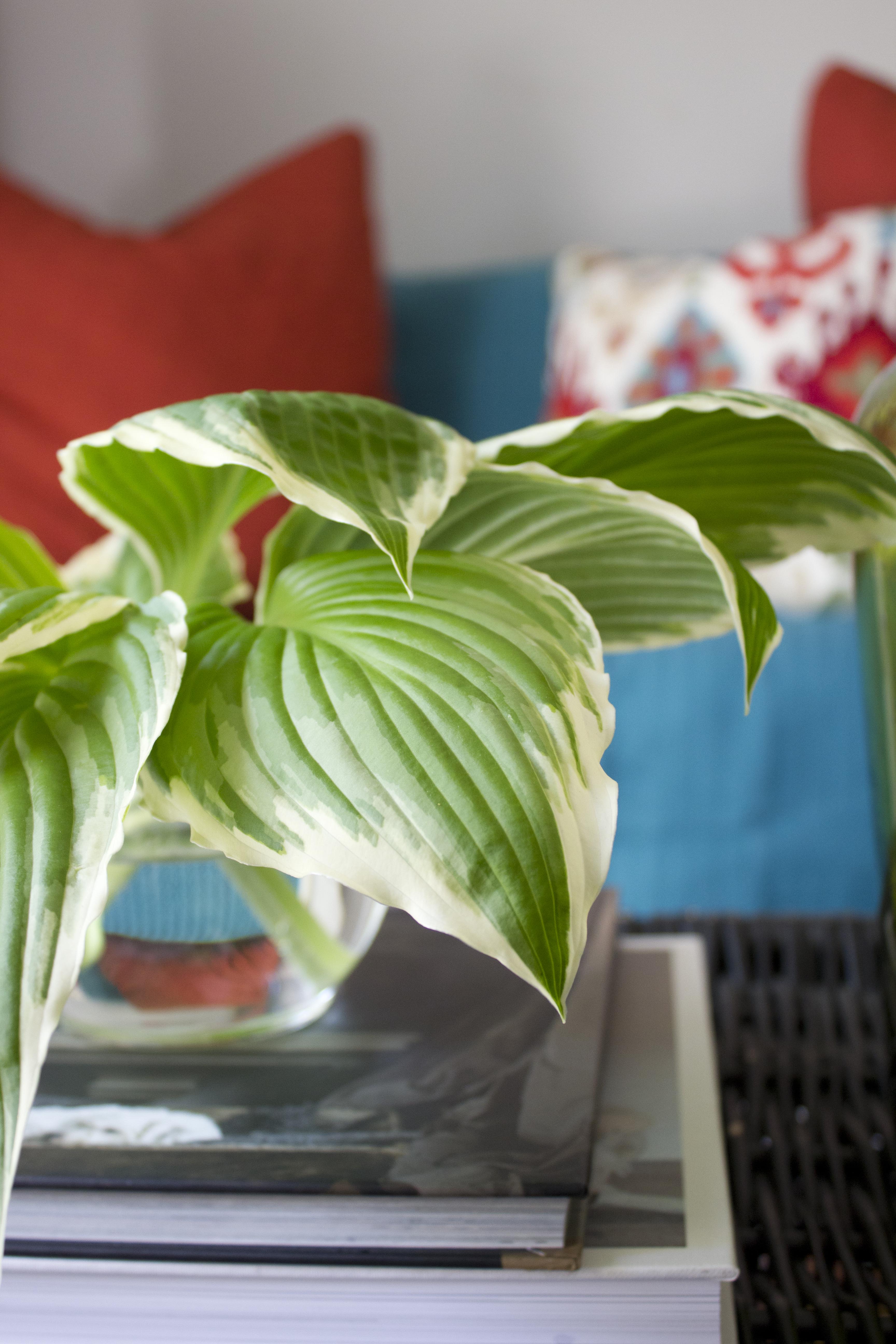 Photography Styling Challenge #11: Living Room | Redesigned By M #photostylingchallenge