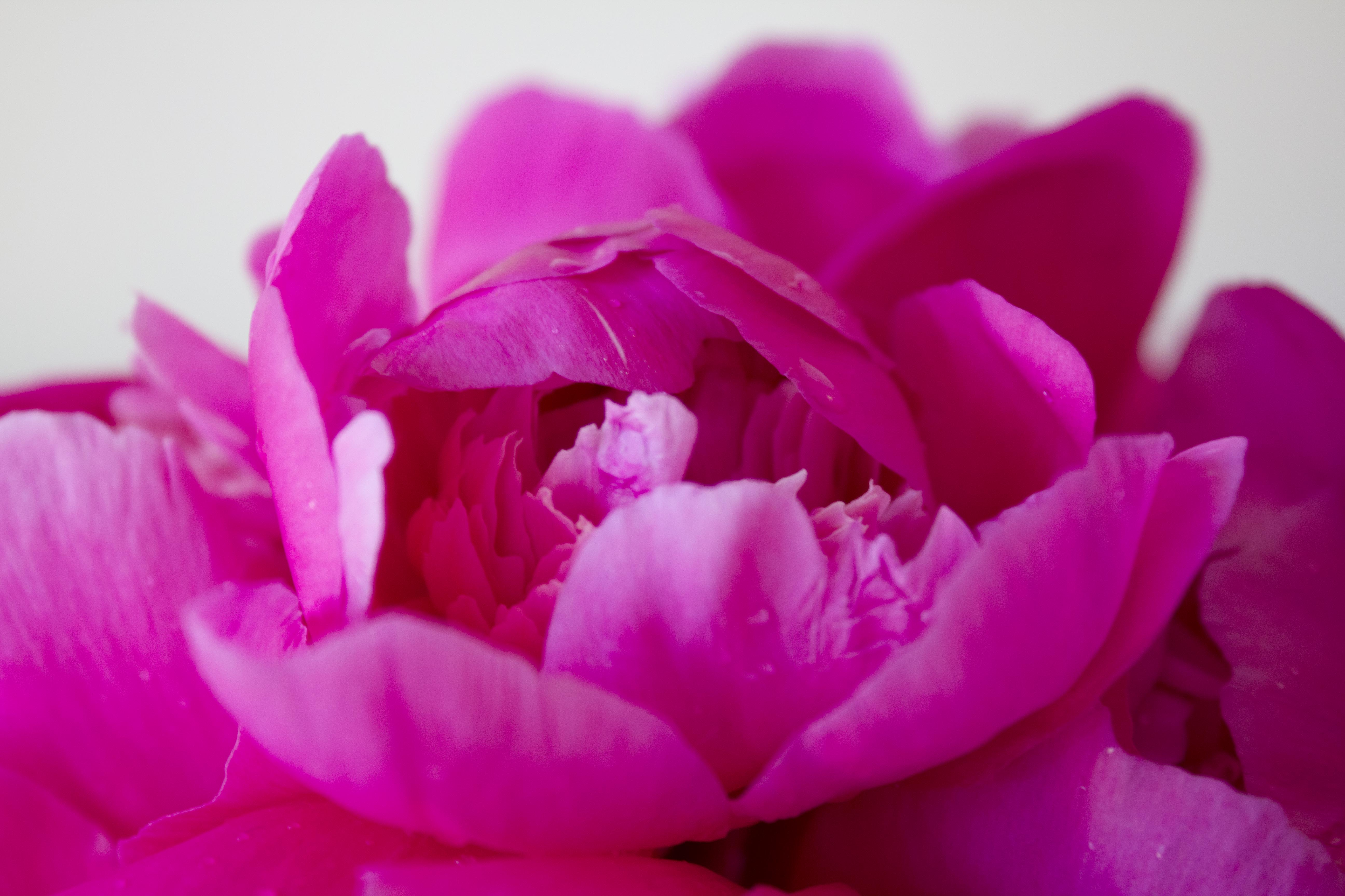 Photography Styling Challenge #12: Personal | Redesigned By M #photostylingchallenge