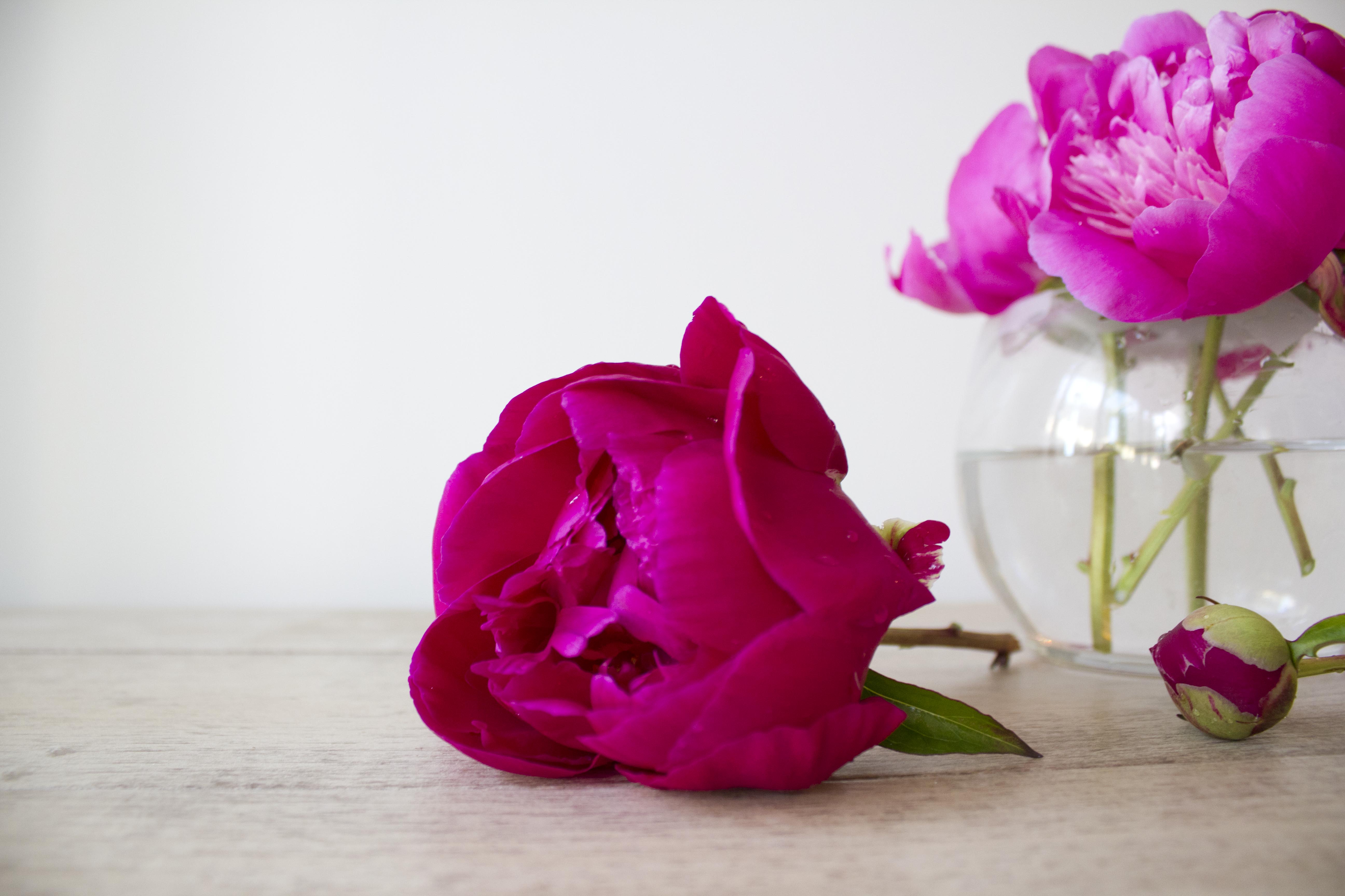 Photography Styling Challenge #12: Personal | Redesigned By M #photostylingchallenge