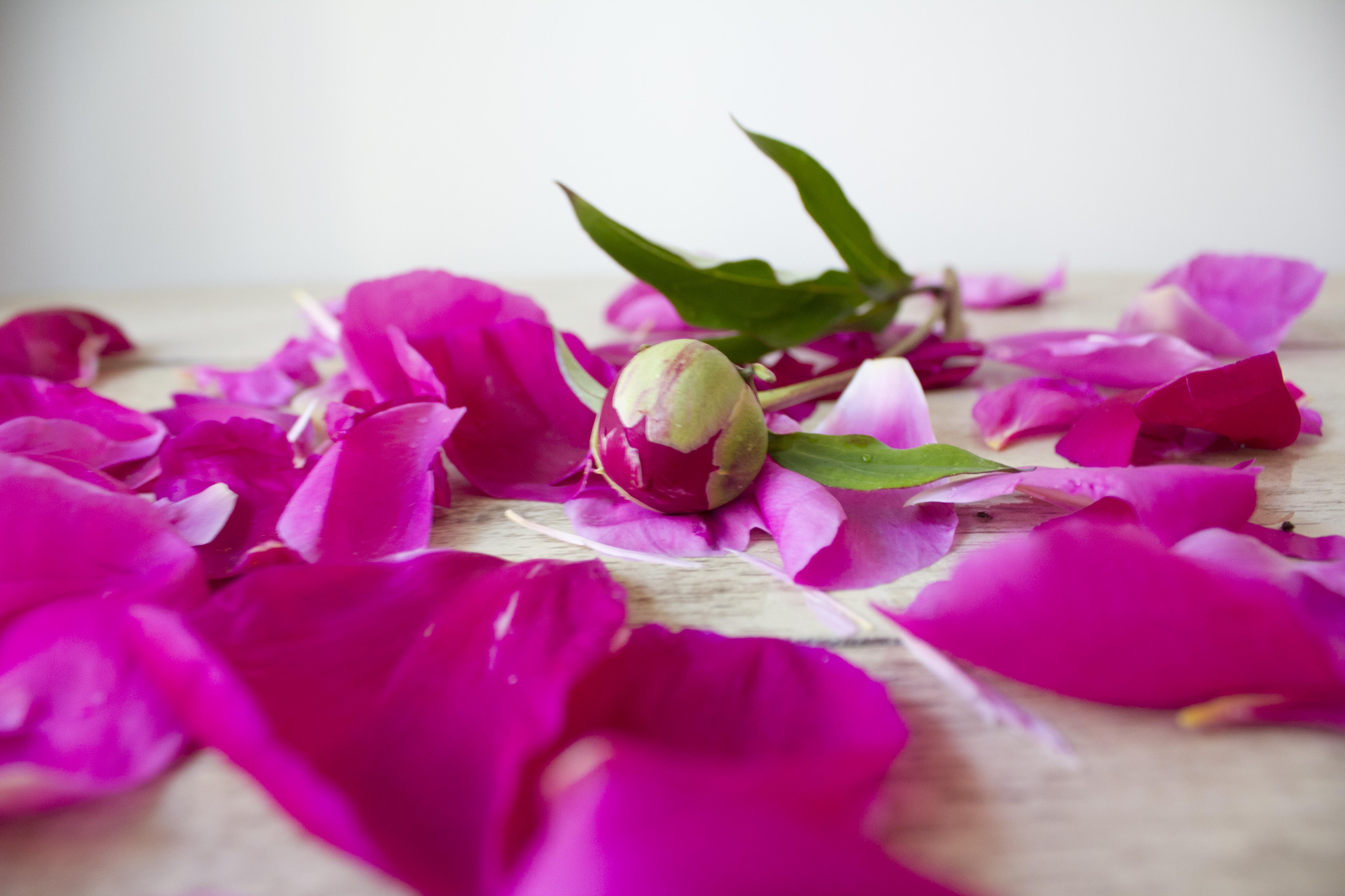 Photography Styling Challenge #12: Personal | Redesigned By M #photostylingchallenge